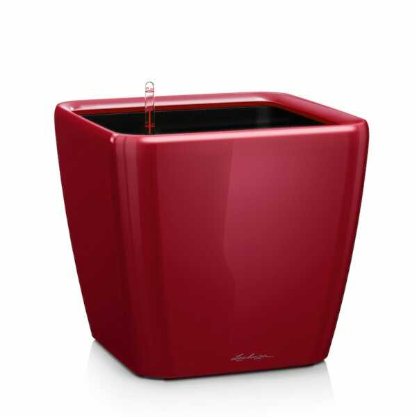 QUADRO-LS-21-Scarlet-Red-High-Gloss